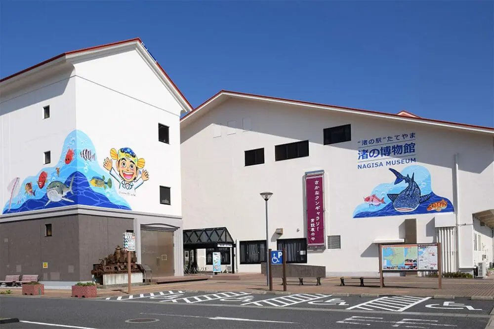 🌊 渚の駅 다테야마 (나기사노에키 다테야마) 이미지 1